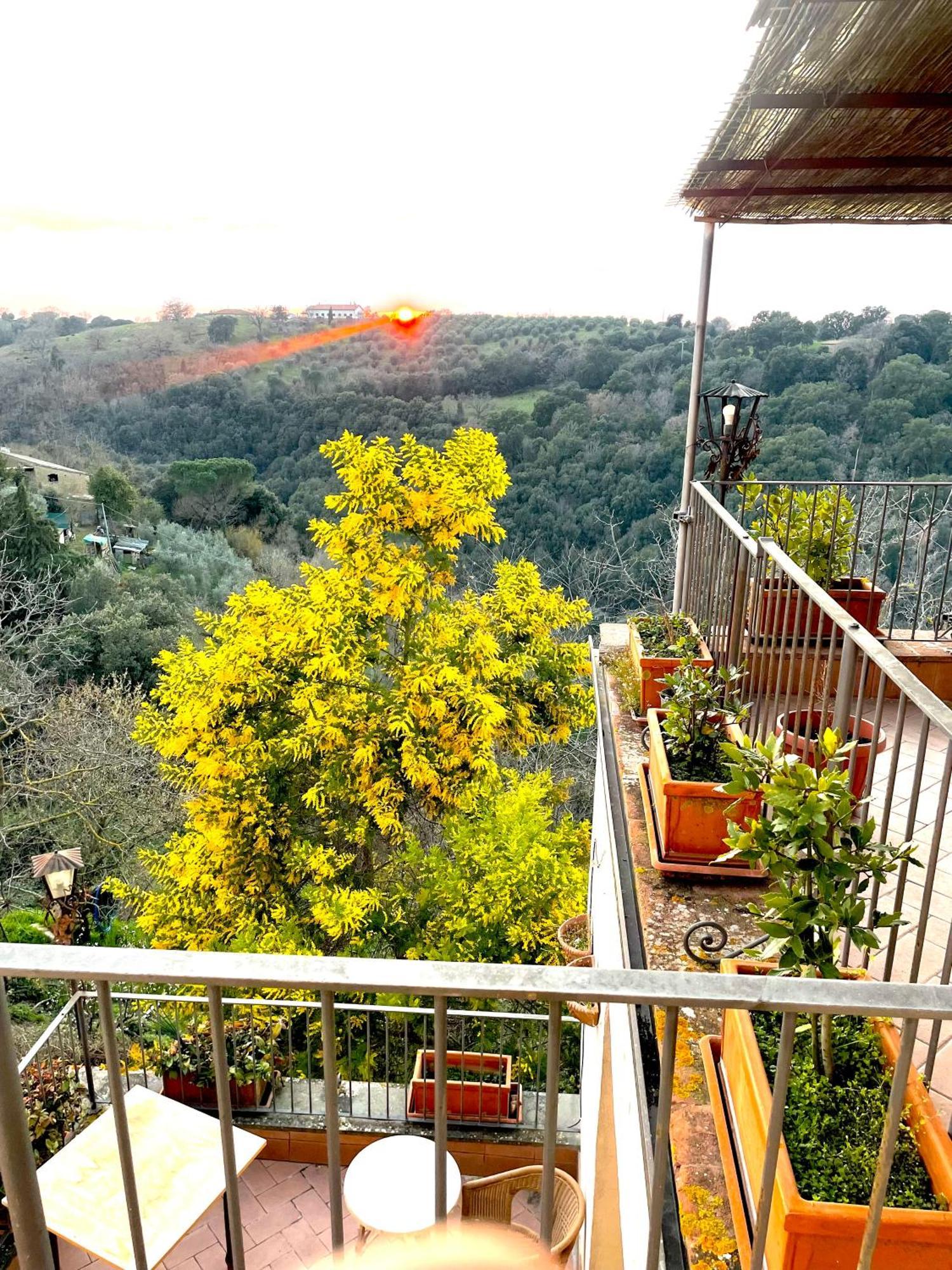 Ghigo La Locanda Di Torquato Montorgiali Экстерьер фото